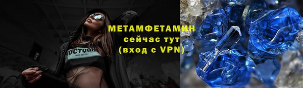 молекула духа Вяземский