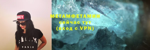 молекула духа Вяземский