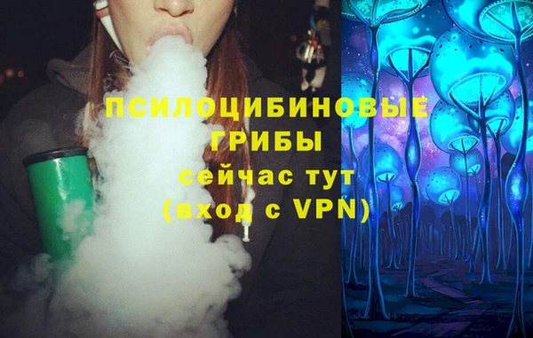 мескалин Горнозаводск