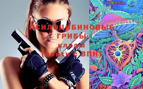 молекула духа Вяземский
