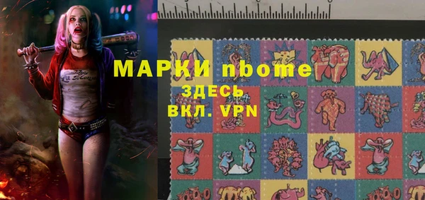 шишки Щигры