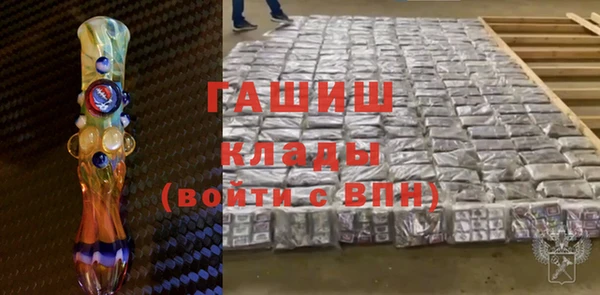 молекула духа Вяземский