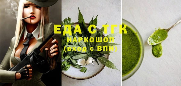 молекула духа Вяземский