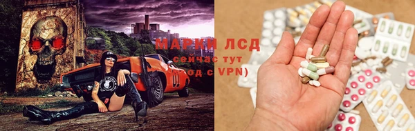 apvp Вязники