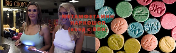 молекула духа Вяземский